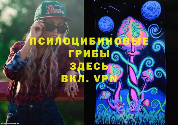 бошки Арсеньев